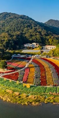 Private Day Trip to Shimen National Park and Conghua Hot Spring from Guangzhou